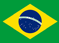 Indian Astrologer in Brazil